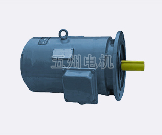 YZLPWT/YZPSL系列水冷耐高溫電機-紹興上虞五州電機制造有限公司